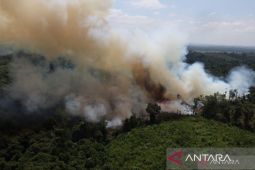 Komnas HAM panggil kementerian terkait dalami temuan Karhutla Kalbar