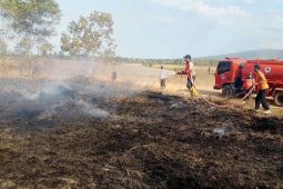 Bombana siagakan personel BPBD 24 jam  tangani laporan karhutla