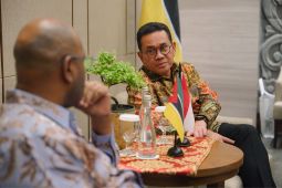 RI jajaki peluang investasi pengolahan singkong di Mozambik
