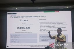 Provinsi Kaltim atur jalur penyaluran dana karbon Rp1,47 triliun