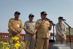 Jakarta Timur jadi wilayah yang miliki embung terbanyak