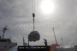 Pemprov Maluku susun strategi ketahanan pangan hadapi El Nino