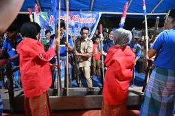 48.000 hektare sawah di Sidrap panen