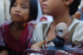 CUMI-CUMI KEPALA MANUSIA Page 1 Small