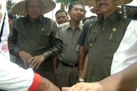 Berikan bantuan sapi kepada petani