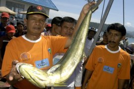 LOMBA MANCING TRADISIONAL Page 1 Small