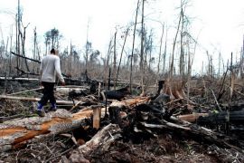 Minister warns of possible forest fires in June