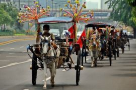 Puluhan kusir delman gelar aksi di Balai Kota Jakarta