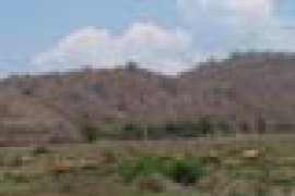 PADANG PENGGEMBALAAN SAPI Page 1 Small