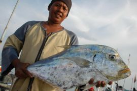 Minister promises Rp985 bln to make Maluku nat`l fish barn