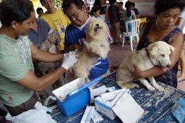 Bali to conduct  anti-rabies vaccination  drive