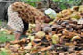 JEMUR BATOK KELAPA. Page 1 Small