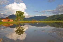 Tajuk ANTARA NTB - Menata arah hijau NTB