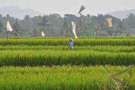 Vice President: Food Resilience Threatened by Climate Change