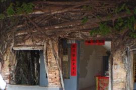 Kelenteng  Akar Dua Abad di Senggarang