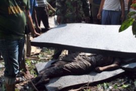 Warga dan Aparat TNI Evakuasi Korban Cassa SMAC di Hutan Bintan