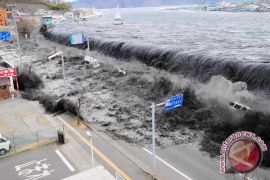 Japan death toll tops 10,000: Kyodo