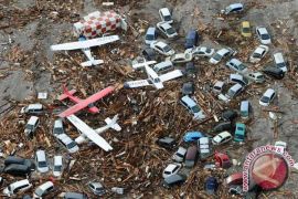 Quake, tsunami could cost Japan $235 billion: WB