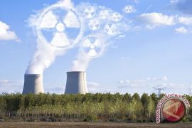 Indonesia Anggota Misi Pencari Fakta PLTN Fukushima