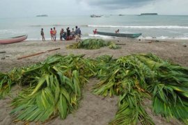 Sejuta rumpon akan dibuat di Bangka Tengah