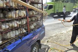 PENYEMPROTAN KENDARAAN PEMBAWA UNGGAS