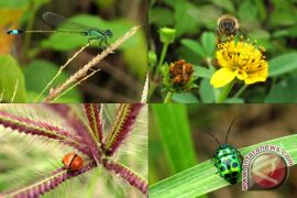 RI establishes  parks to mark biodiversity day