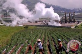 Geothermal Di Bengkulu Diminati Investor Turki