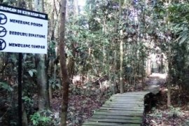 Jembatan Ulin Terpanjang