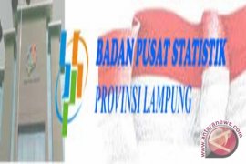 Neraca Perdagangan Provinsi Lampung Surplus US $108,67 Juta