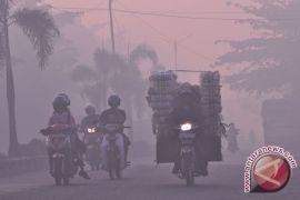 RI govt moves forward to realize CO2 emission cut pledge