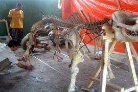 Kerangka Badak Jawa