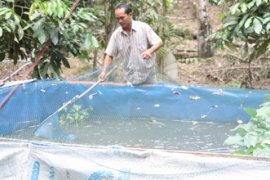 BUDIDAYA IKAN PAPUYU