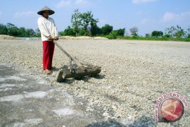Karena ampas singkong, warga Mesuji protes