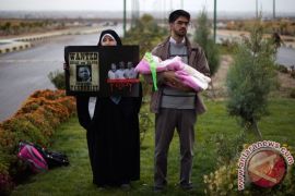 Iran akan luncurkan PLTN Bushehr pada awal Februari