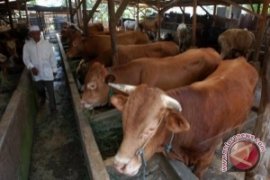 RPH Ogan Komering Ulu belum difungsikan