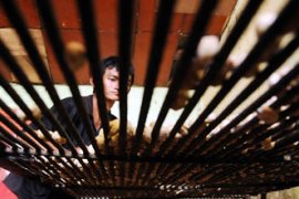 BUAH KEMIRI Page 1 Small