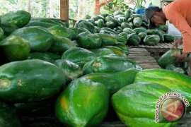 Bengkulu harapkan investasi dari China dan ASEAN