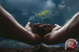 Cipta Karya perbanyak tanam pohon kurangi emisi