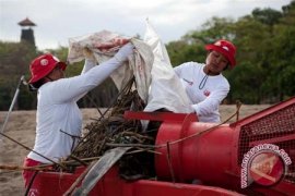 Peran Penting Ibu-Ibu Pembersih Pantai