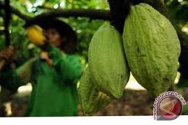 Lima komoditi perkebunan hilang diganti sawit