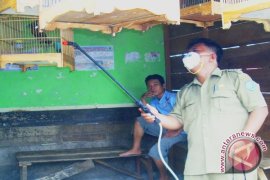 Antisipasi flu burung kandang unggas warga disemprot