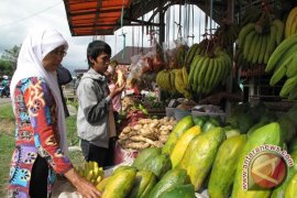 Sulawesi Tenggara kembangkan agrowisata