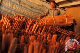 Sirup kulit kayu manis minuman resmi HPN