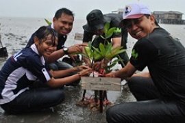 Banyan Tree Bintan Tanam Mangrove di Tanjungpinang