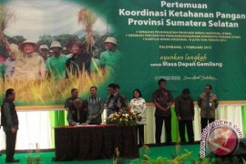 Mentan: Anggaran cetak sawah baru Rp1 triliun