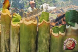 Tradisi "balemang" di Mukomuko makin ditinggalkan