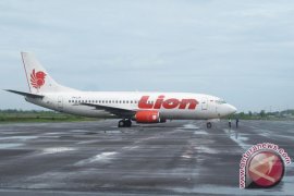  Lion Air tergelincir tabrak sapi di Gorontalo