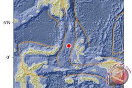 Magnitude 5.0 quake rocks Maluku