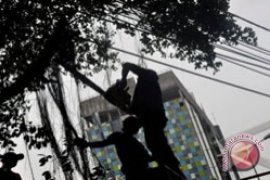 PLN Imbau Masyarakat  Pangkas Pohon
