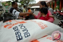 Hahrga beras di Yogyakarta turun